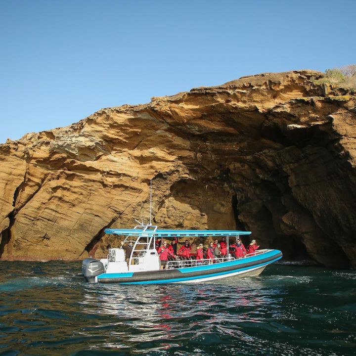 A boat pictured next to a sea cave in Lake Macquarie NSW